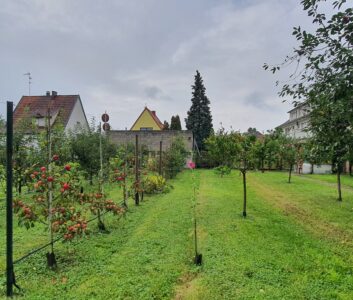 Cours de taille chez les arboriculteurs