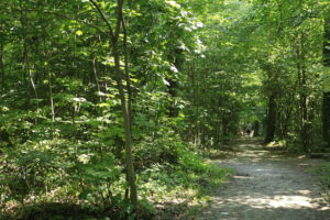 parcours de santé ostwald